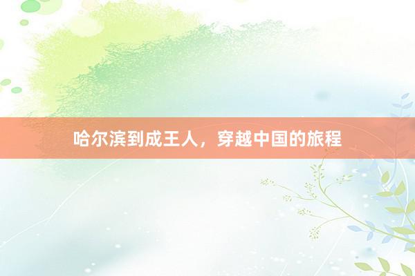 哈尔滨到成王人，穿越中国的旅程