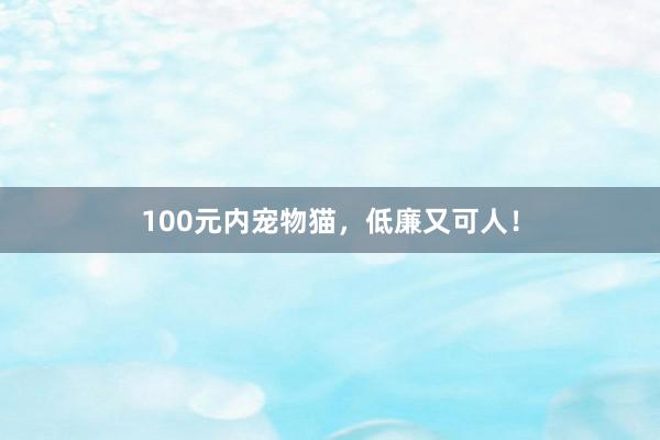 100元内宠物猫，低廉又可人！