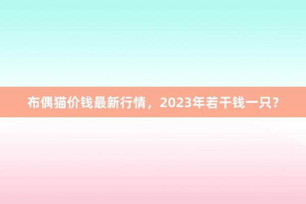 布偶猫价钱最新行情，2023年若干钱一只？