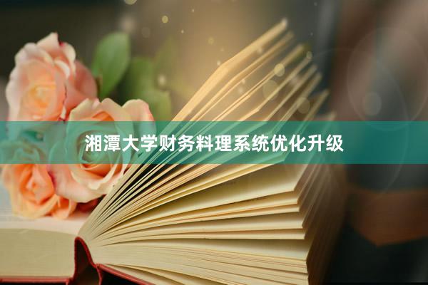 湘潭大学财务料理系统优化升级